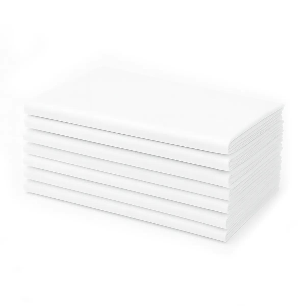 Disposable Flat Bed Sheets 10pk